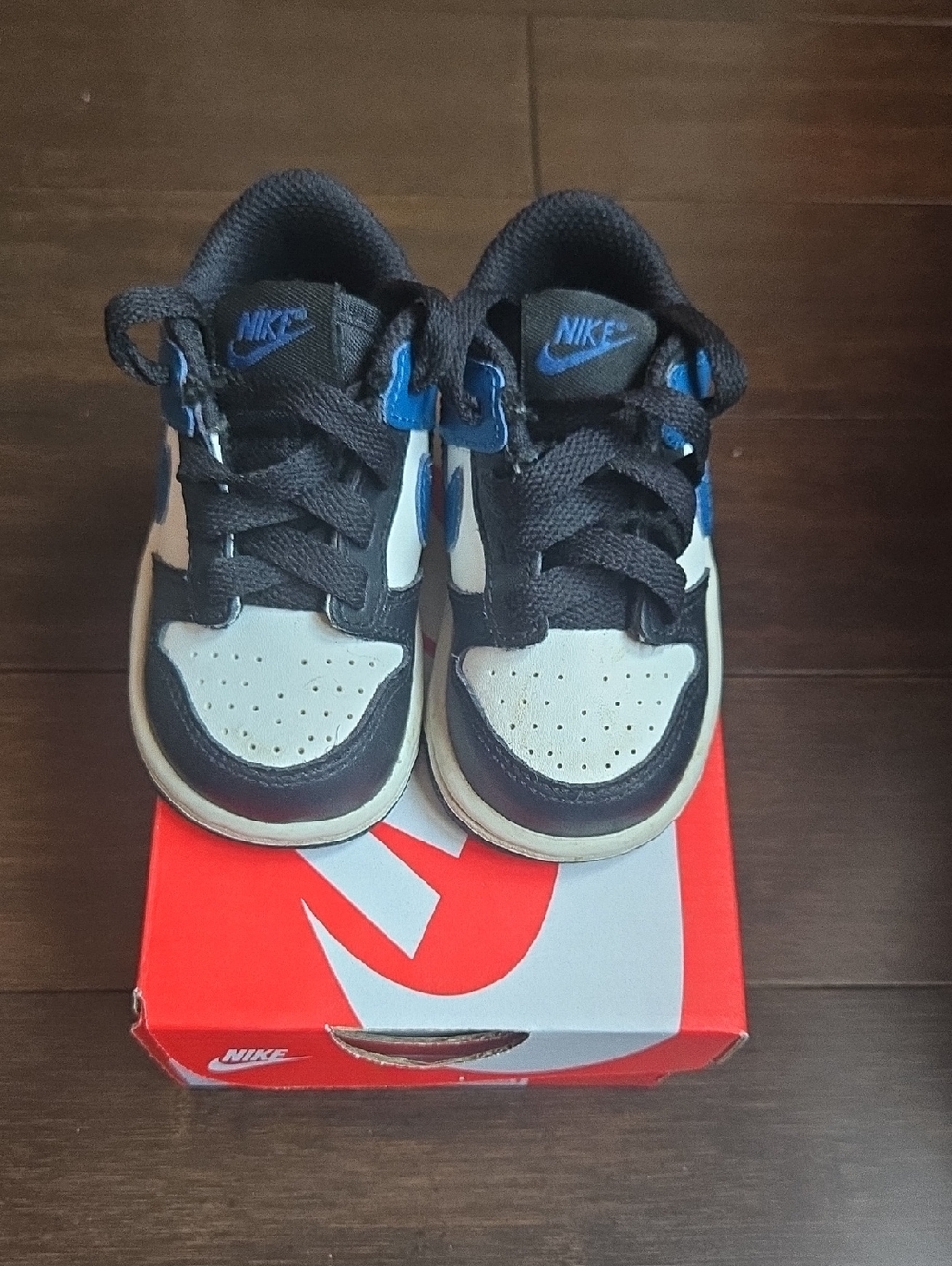 Kids Nike Dunk Low